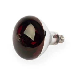 Devant -Fournitures Pour Oiseaux ampoule infrarouge 150 watt 1