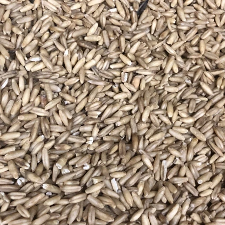 Avoine Pelée 25kg - Beyers 2 Avoine Pelée 25kg - Beyers – Image 2