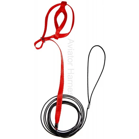 Harnais Pour Perroquets Aviator - Medium/Rouge 2 Harnais Pour Perroquets Aviator - Medium/Rouge – Image 2