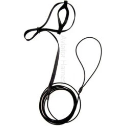 Harnais Pour Perruches Et Perroquets Aviator - XS/Noir -Fournitures Pour Oiseaux harnais pour perruches et perroquets aviator xsnoir 2