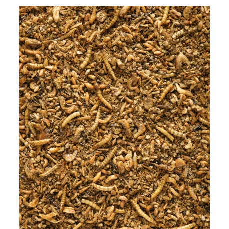 VERSELE-LAGA Insect Patee Premium 500g - Aliment Complet Pour Tous Les Insectivores 2 VERSELE-LAGA Insect Patee Premium 500g - Aliment Complet Pour Tous Les Insectivores – Image 2