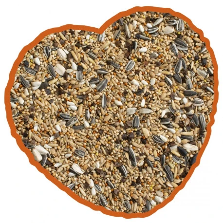 Grandes Perruches Duvo 20 Kg 2 Grandes Perruches Duvo 20 Kg – Image 2