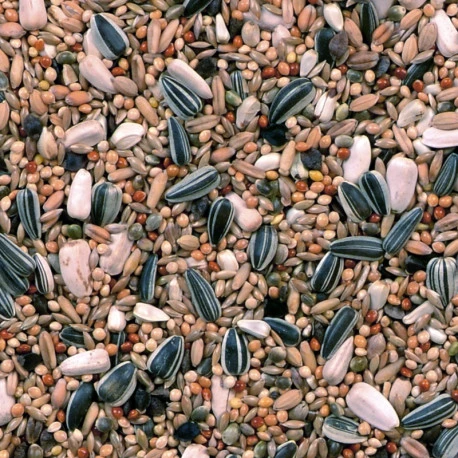 Grandes Perruches Duvo 20 Kg 4 Grandes Perruches Duvo 20 Kg – Image 4