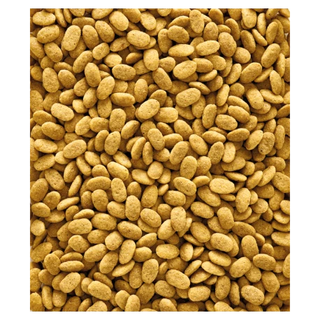 VERSELE-LAGA Nutribird P15 Original 10kg - Granulés Extrudés - Aliment D'entretien Pour Perroquets 2 VERSELE-LAGA Nutribird P15 Original 10kg - Granulés Extrudés - Aliment D'entretien Pour Perroquets – Image 2