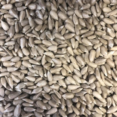 VERSELE-LAGA Tournesol Pelé 25 Kg 1 VERSELE-LAGA Tournesol Pelé 25 Kg